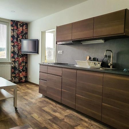 Apartmany Schmiedeberg U Klinovce Kovarska ภายนอก รูปภาพ