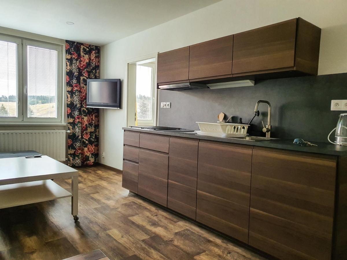 Apartmany Schmiedeberg U Klinovce Kovarska ภายนอก รูปภาพ